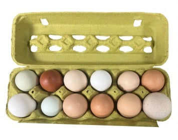 BioComplete Florida Organic Pastured Chicken Eggs