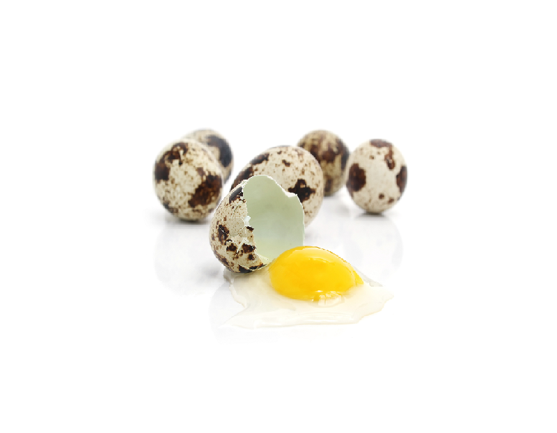 BioComplete Florida Organic Pastured Quail Eggs