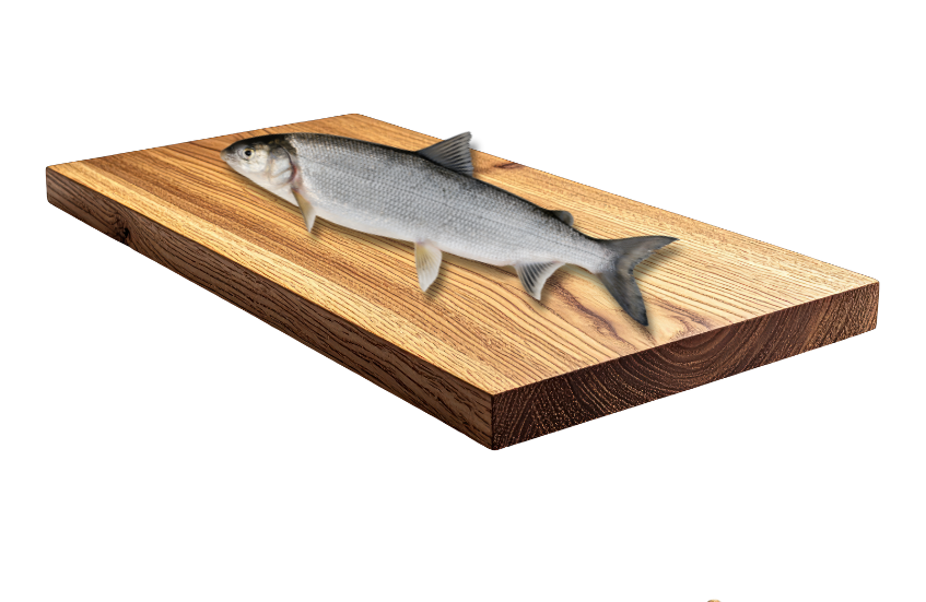 BioComplete Natural Raw Whitefish