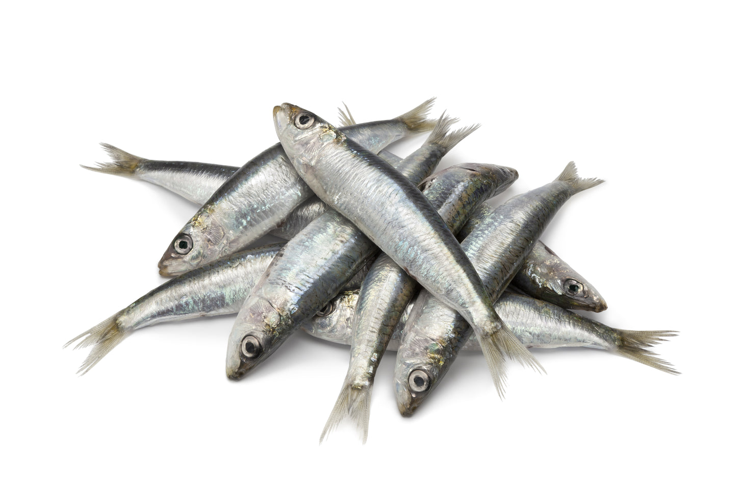 A pile of whole raw sardines on a white background