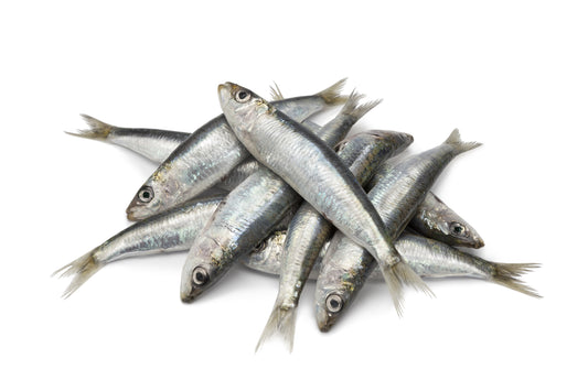 A pile of whole raw sardines on a white background