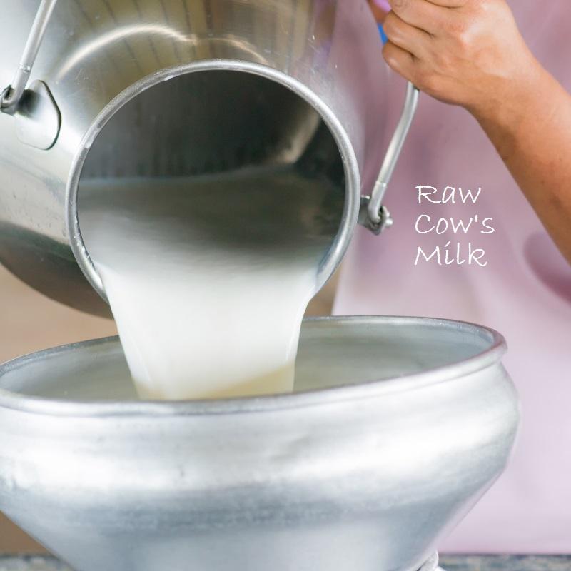 Raw cow milk by BioComplete