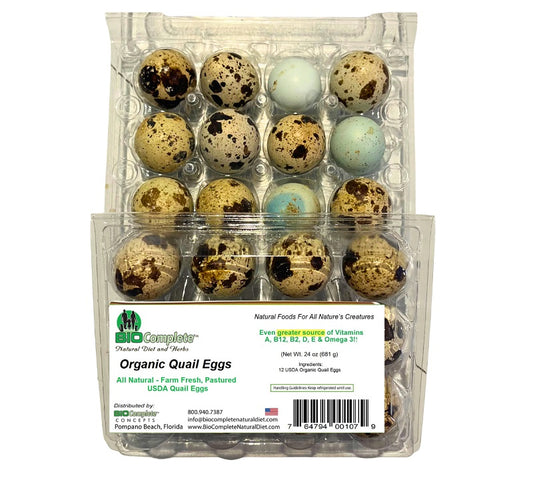 BioComplete Florida Organic Pastured Quail Eggs