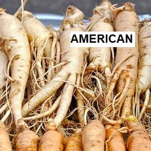 A collection of American Ginseng roots.