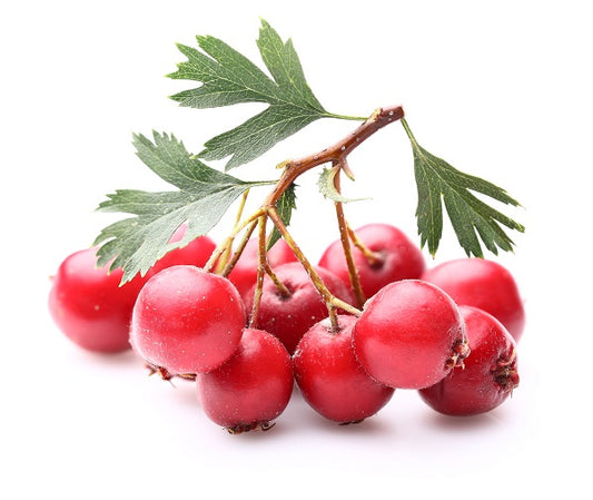 Heart-healthy hawthorn berry powder by BioComplete.