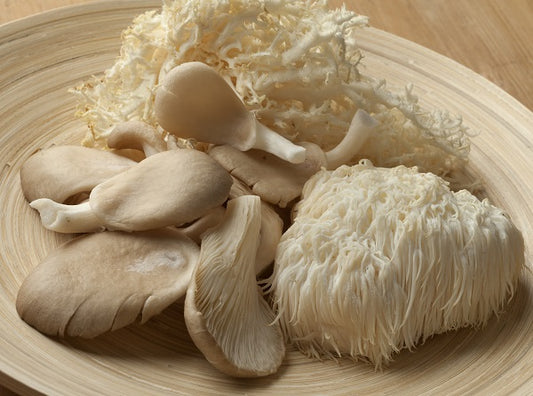 A plate containing both whole and powdered forms of Lion's Mane mushroom.