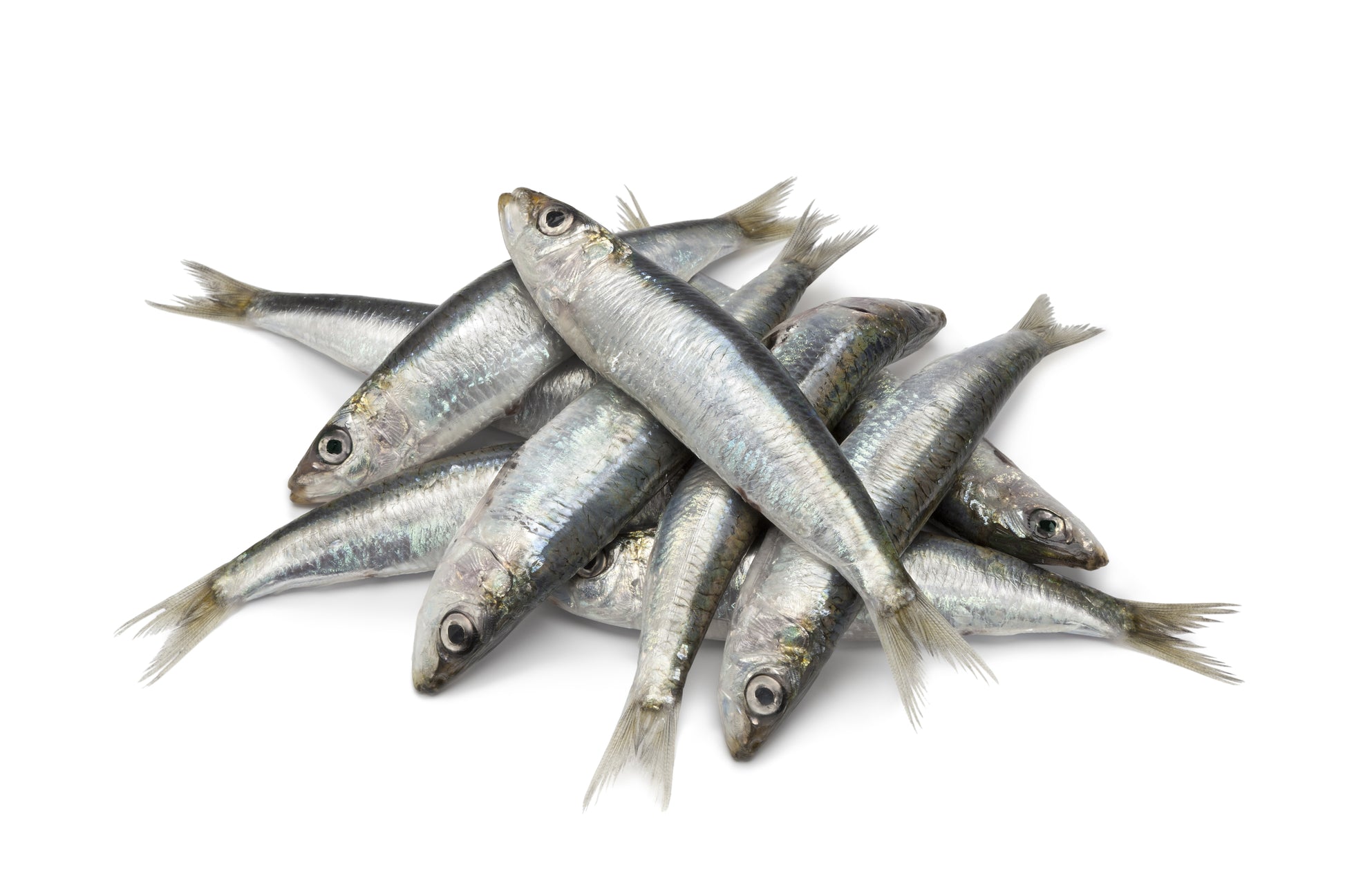 A pile of whole raw sardines on a white background