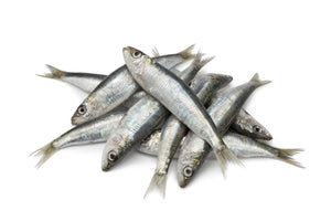 A pile of whole raw sardines on a white background