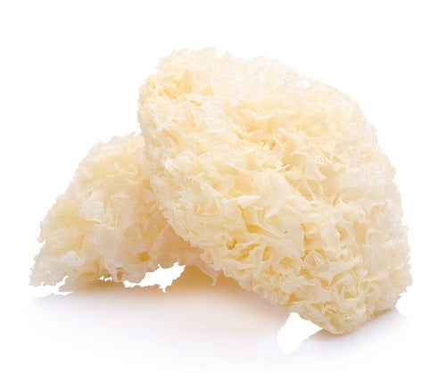 A cluster of white Tremella mushroom powder, resembling jelly-like strands, on a white background.