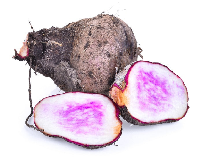 Yam Rot BioComplete Wild Yam Root Powder for Pets – My Paleo Pet