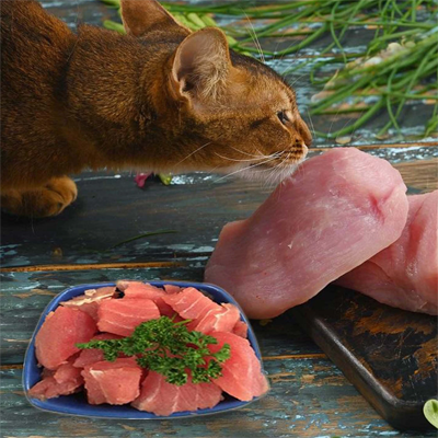 Raw meat pet food with a cat, offered by My Paleo Pet for natural feline nutrition.