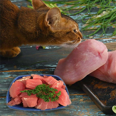 my-paleo-pet-Raw-Meat-With-Cat-pet-food-2
