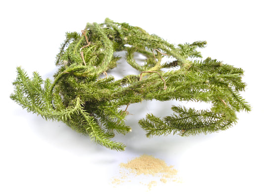 My Paleo Pet BioComplete Club Moss Powder – Pure Herbal Supplement for Pets, Natural Cognitive Support