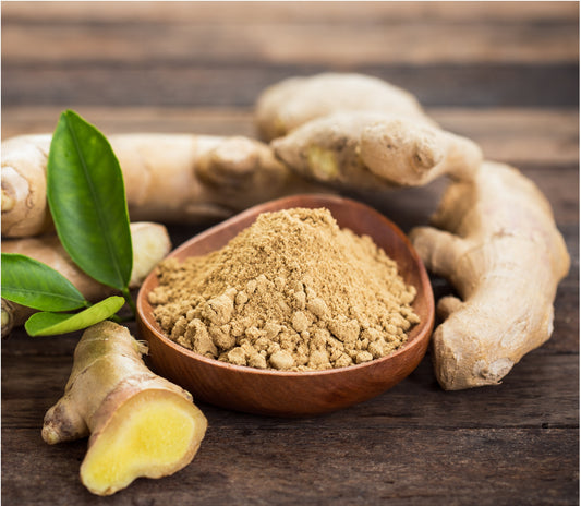 My Paleo Pet BioComplete Ginger Root Powder – Natural Digestive and Anti-Inflammatory Herbal Supplement for Pets