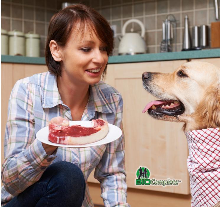 A woman in a plaid shirt holding a plate with a raw meat cut, smiling at a golden retriever with its tongue out, wearing a red and white checkered collar, with the "BioComplete" logo in the background, set in a kitchen environment.