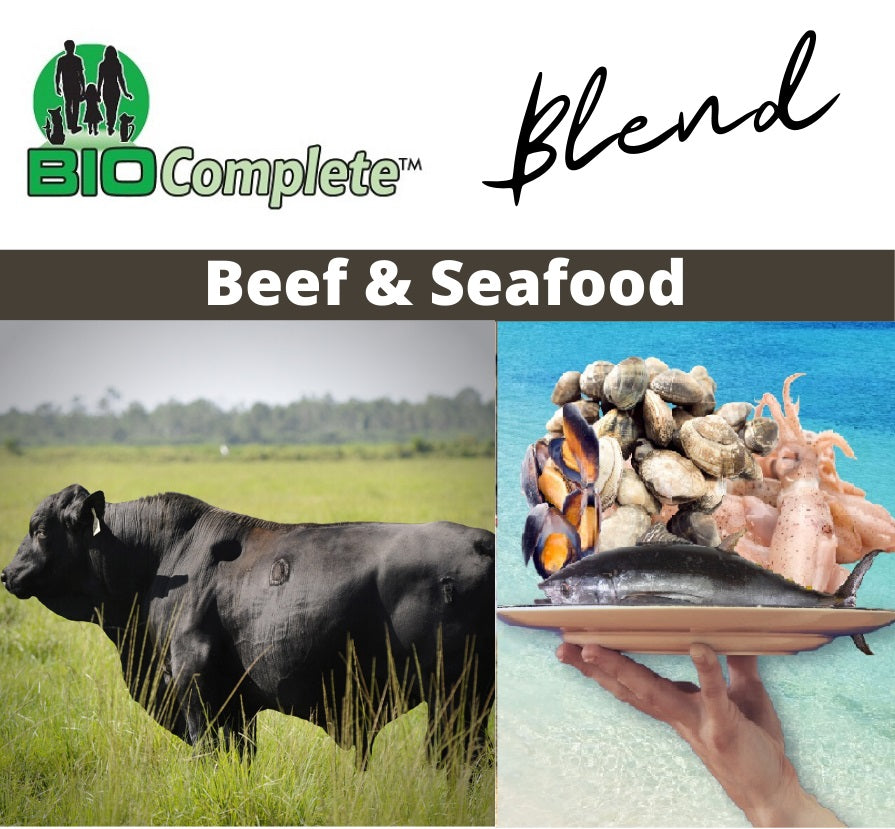 BioComplete Natural Raw Beef and Seafood Blend