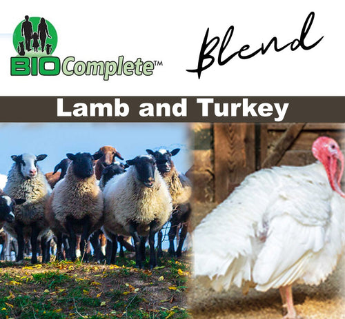 BioComplete Natural Raw Lamb and Turkey Blend