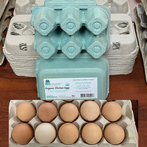 BioComplete Florida Organic Pastured Chicken Eggs