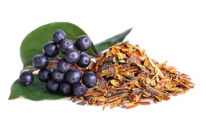 An image displaying Buckthorn Bark Powder alongside buckthorn berries and a green leaf on a white background.