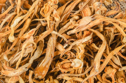 A close-up image of BioComplete Cordyceps Mushroom Powder, showing the texture and details of the powdered product.