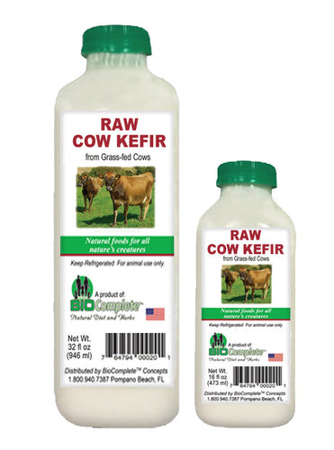 Two bottles of BioComplete Raw Cow Kefir, one larger and one smaller, with labels showing a cow and relevant product information.
