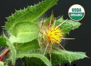 BioComplete™ Blessed Thistle Leaves-My Paleo Pet