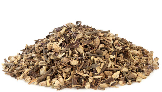 BioComplete™ Echinacea Powder-My Paleo Pet