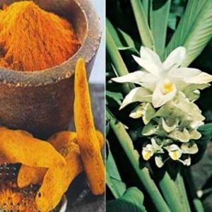 BioComplete Turmeric Root Powder